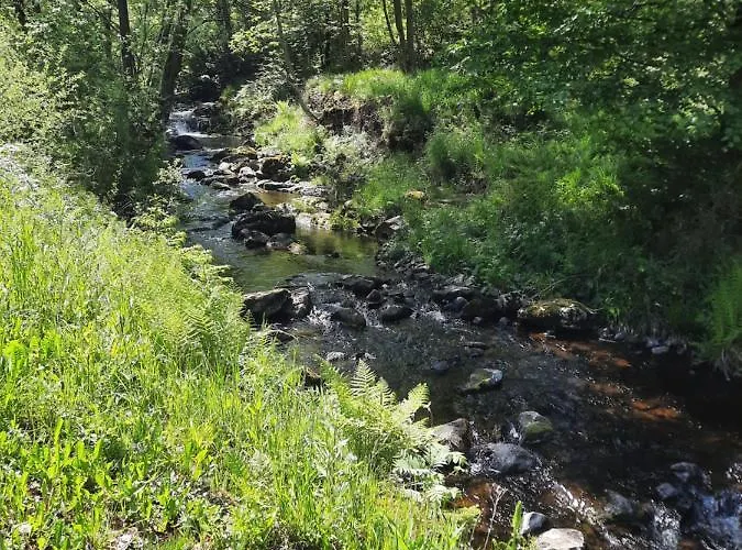 公寓 Harzzeit - Mit 2 Schlafzimmern 巴特哈尔茨堡